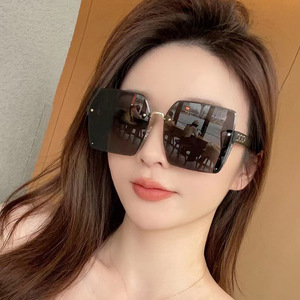 帕莎2024新款高奢太阳镜偏光墨镜护目平光镜防紫外线男女高级感