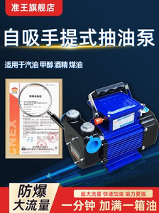 准王防爆抽油泵电动12V24V220V大流量汽油柴油甲醇自吸加油泵