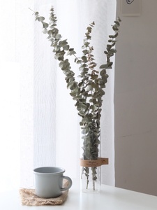 屋里北欧干花大束长枝尤加利叶水培玻璃花瓶摆件陈列绿植客厅装饰
