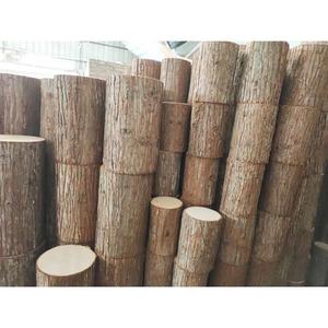 天然杉皮树桩仿真木桩空心杉木桩圆木墩婚庆路引原木带皮木桩道具