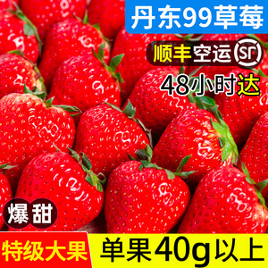丹东草莓99大果5斤新鲜应当季新鲜水果整箱牛奶红颜礼盒顺丰