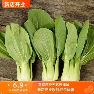 农家自种蔬菜类现摘现发新鲜蔬菜上海青小油菜小青菜绿叶菜小白菜