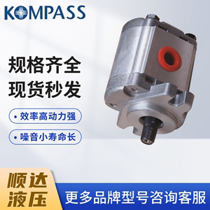 KOMPASS康百世齿轮泵P101RP01GT P102 27 35 04 09RP01G液压油泵