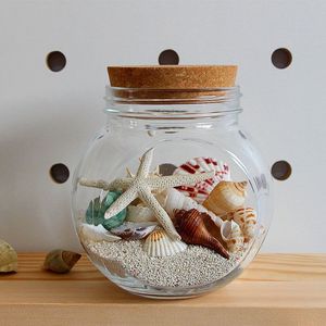 治愈系海洋材料包装饰摆件迷你玻璃瓶成品贝壳沙滩海螺漂流瓶