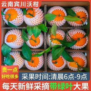 云南大理宾川沃柑10斤水果新鲜整箱当季时令沙糖蜜橘砂糖柑橘桔子