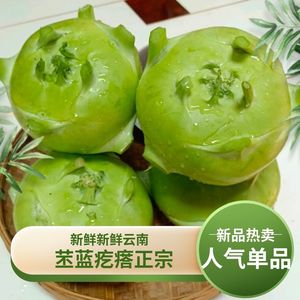 云南省新鲜蔬菜苤蓝水果大头菜疙瘩菜芥菜头泡菜撇了现摘现发