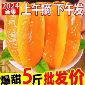 2024新鲜漳州甜杨桃水果新鲜杨桃水果新鲜应季水果3斤/5斤包邮