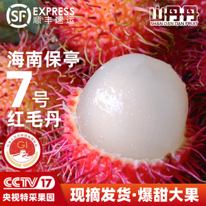 顺丰大果 5斤泰国红毛丹进口当季新鲜红牡丹热带水果毛荔枝整箱
