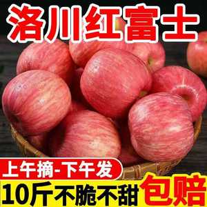 【超甜】陕西洛川红富士苹果当季新鲜冰糖心脆甜水果批发一整箱