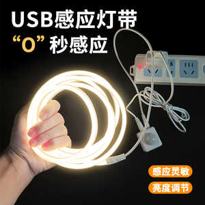 USB接口插电智能5V人体感应灯无光斑悬浮床底小夜灯鞋衣柜LED灯带