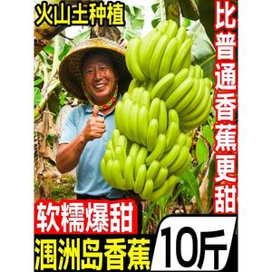 【首单立减】广西北海涠洲岛香蕉10斤新鲜水果banana芭蕉整箱当季