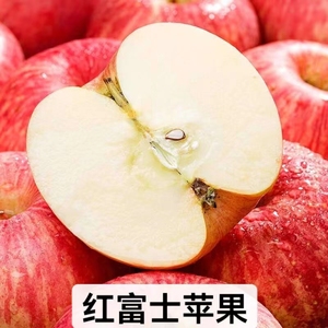 新鲜红富士苹果当季水果丰县大沙河现摘孕妇水果脆甜多汁当季新果