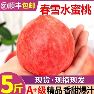 【现摘】江西赣州新鲜春雪水蜜桃5斤现摘桃子爆甜多汁当季水果