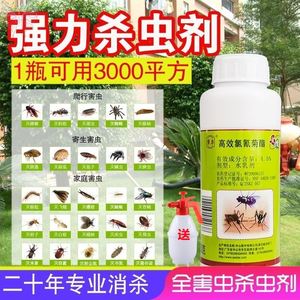 乐农药果毒死碑除虫剂农用苍蝇高效类菊酯药杀虫药天牛树虫蚊子药