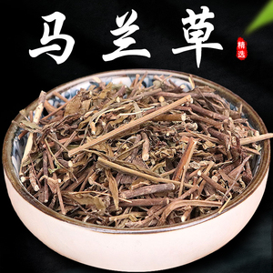 中药马兰头
