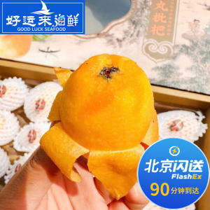 8斤 长丸枇杷 日本引进品种 新鲜水果 纯甜口感