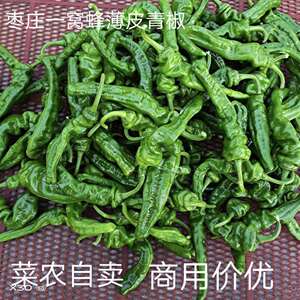 枣庄特产峄城一窝蜂薄皮青椒枣庄辣子鸡专用辣椒4斤装当天发包邮