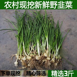 农家现挖野韭菜野葱野蒜小葱根野菜小根蒜胡葱沙葱当季农家菜香葱