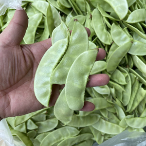 扁豆角新鲜蔬菜农家自种月儿菜扁豆眉豆白扁豆青豆角扁豆荚嫩包邮