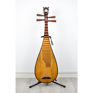 民乐琵琶器乐曲水平考试自学参考资料参考教材练习曲选集中级人民音乐