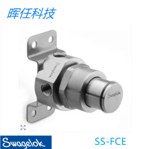 Swagelok(SS-FCE)凝聚/颗粒过滤器1/4内螺纹 NPT碳氟化FKM O 型圈