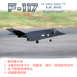 蓝翔64涵道F117遥控飞机 固定翼RC航模像真机 三角翼