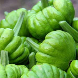 云南小麦瓜姜柄瓜小瓜姜饼瓜新鲜蔬菜嫩南瓜甜瓜小绿瓜5斤包邮