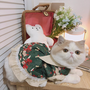 w原创高端手作洛丽塔lolita福利款宠物生日衣服狗狗公主礼服 包邮