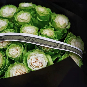 厄瓜多尔绿玫瑰上海鲜花同城速递生日纪念日北京深圳广州杭州西安