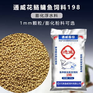 胖头鱼198鳙鱼花大头鱼鲢鱼塘钓鱼野钓鲢鱼鳙饲料通威养殖专用