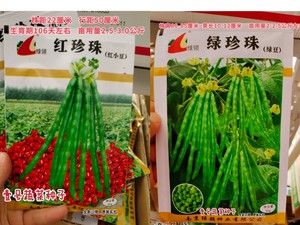 红豆种子 绿豆种籽  大田春夏季播种农作物种孑 绿领一系列豆籽种