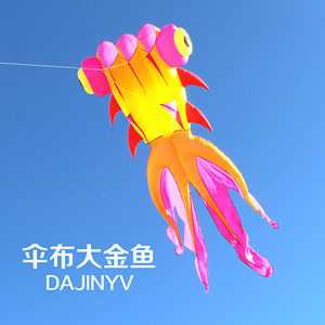 青州马老四大金鱼风筝 高档软体大型尼龙伞布风筝 易飞好飞正品