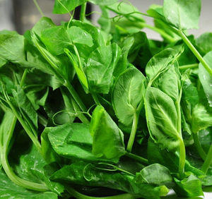 云南德宏新鲜蔬菜豌豆尖 豌豆苗 煮汤下火锅 时令蔬菜1斤