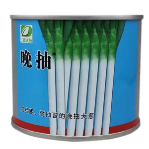 热销日本钢葱品种葱子 铁杆葱种子 四季蔬菜种子日本实心钢葱种子