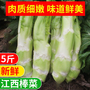 江西特产新鲜菜苔棒棒菜青菜青芥菜生棒菜蔬菜脑壳菜菜头5斤包邮