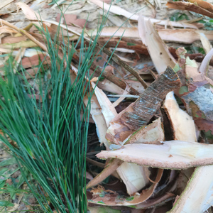 广东新鲜马尾松树皮松树枝皮全松养生茶泡澡泡脚止痒天然中药