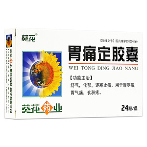 胃痛定胶囊