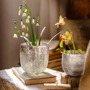 掬涵墨染玻璃花瓶磨砂水培鲜花插花矮胖花器餐桌水养装饰摆件侘寂