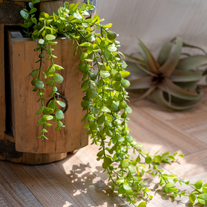 掬涵 仿真植物小叶垂蕨垂吊绿植藤蔓长条花艺壁挂装饰吊兰造景