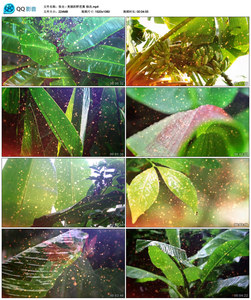 张也美丽的野芭蕉配乐唯美儿童节年会晚会led歌曲舞蹈舞台背景