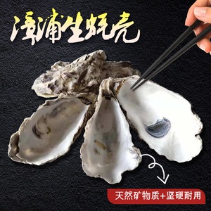 创意饰品家居装饰天然生蚝贝壳野生牡蛎壳鱼缸池装饰贝壳工艺