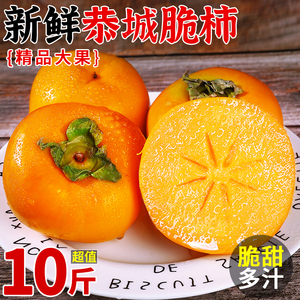 广西恭城脆柿子10斤新鲜水果当季现摘硬火晶大果脆甜柿子整箱包邮