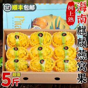 海南燕窝果5斤新鲜麒麟果当季热带水果黄皮白心火龙果顺丰礼盒装3