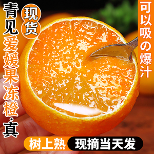 四川青见爱媛果冻橙10斤新鲜橙子应当季水果柑橘蜜桔大果整箱包邮
