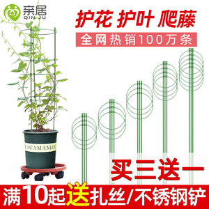 亲居爬藤架子花支架月季花架植物盆室内花卉支撑杆园艺铁线莲攀爬