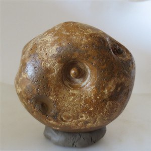 13510  763g 埃及古磐石奇石天然眼睛石观赏象形石戈壁沙漠漆