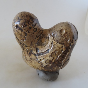 13709 210g 埃及古磐石奇石天然眼睛石观赏象形石戈壁沙漠漆