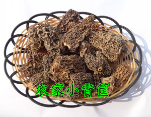 东北无柄羊肚菌野生羊肚菇羊肚蘑羊肚菜大个牛肚菌网兜蘑干货