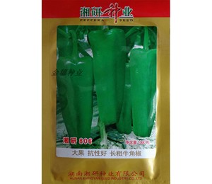 隆平高科 湘研种业 湘研806 辣椒种子 粗牛角椒