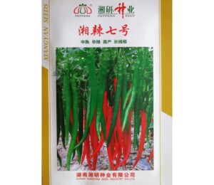 隆平高科 湘研牌辣椒种子蔬菜种子湘辣七号1000粒